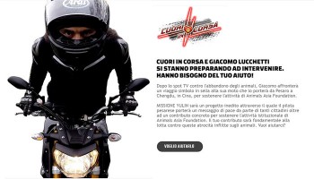 Idee E Soluzioni Agenzia Marketing E Comunicazione Di Cuori In Corsa