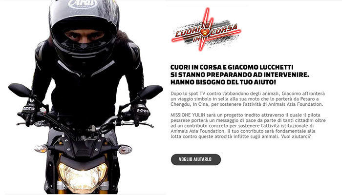 Idee e Soluzioni Agenzia Marketing e Comunicazione di Cuori in Corsa