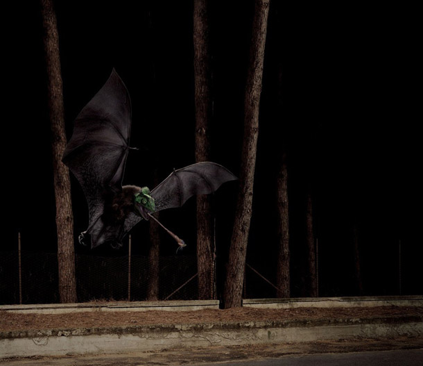 Modello 3D Di Un Pipistrello Per Concorso Internazionale